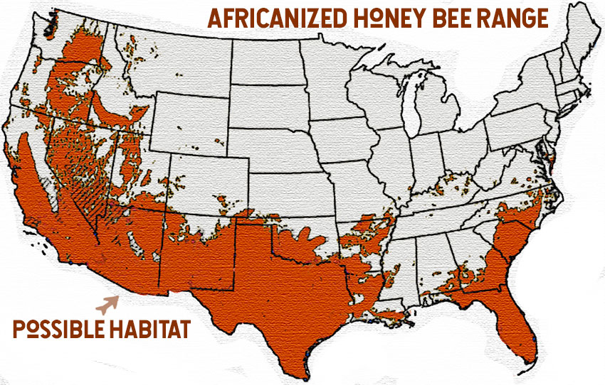 Africanized Honey Bees Map 2022 California Adventure Map 2022