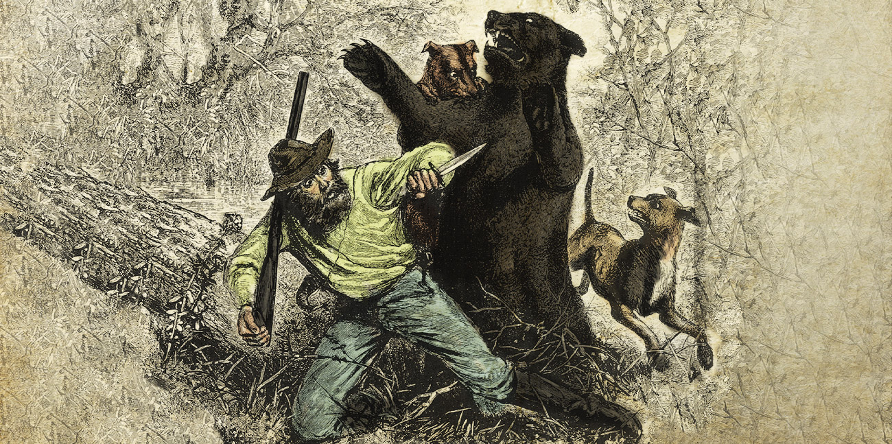 black bear attacks