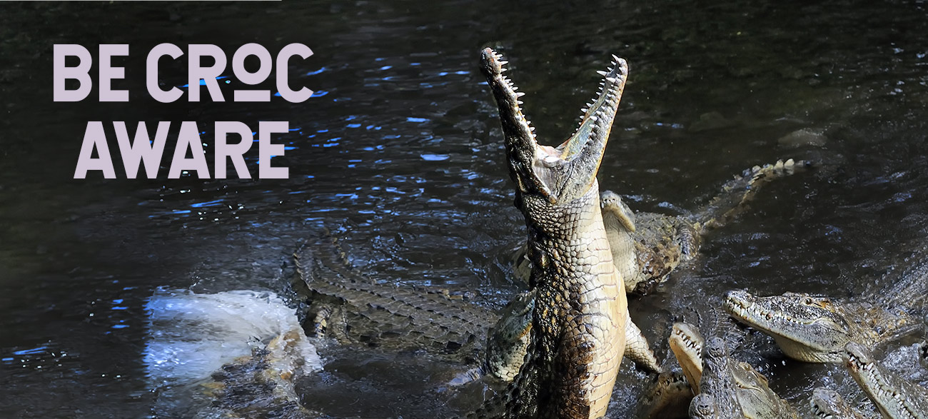 crocodile safety