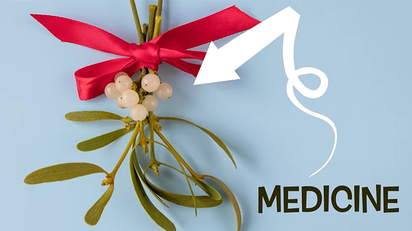 mistletoe_medicine