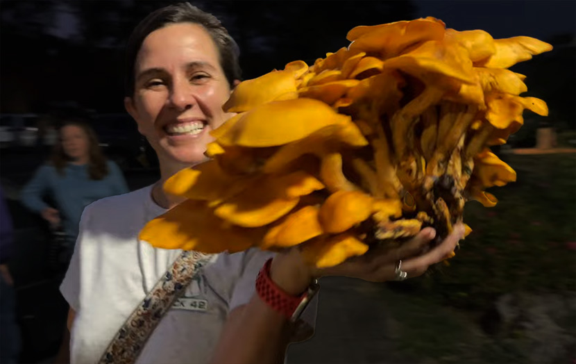A lady smiling happy holding toxic mushroom
Jack O lantern Mushroom