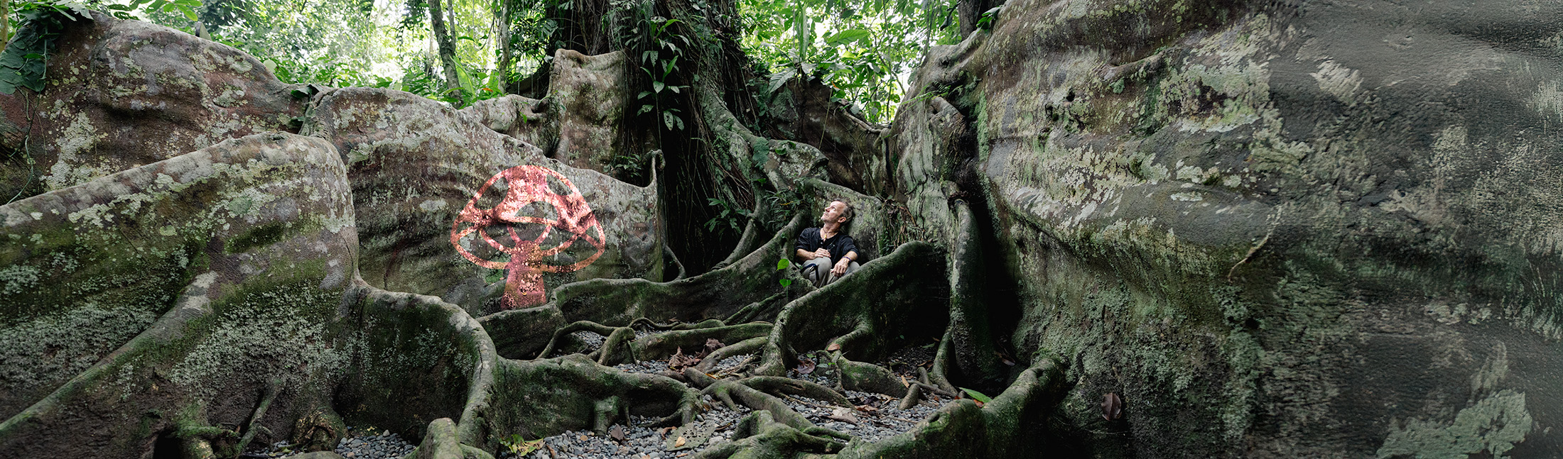 mushroom experience 26